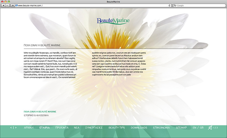 Website design, Beauté Marine