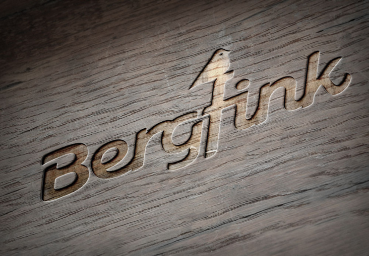 Logo bergfink