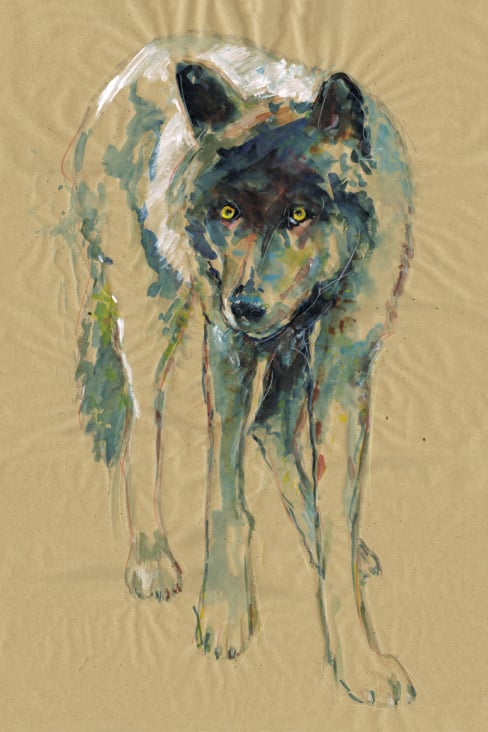 Wolf