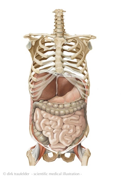 Torso 2, mixed media