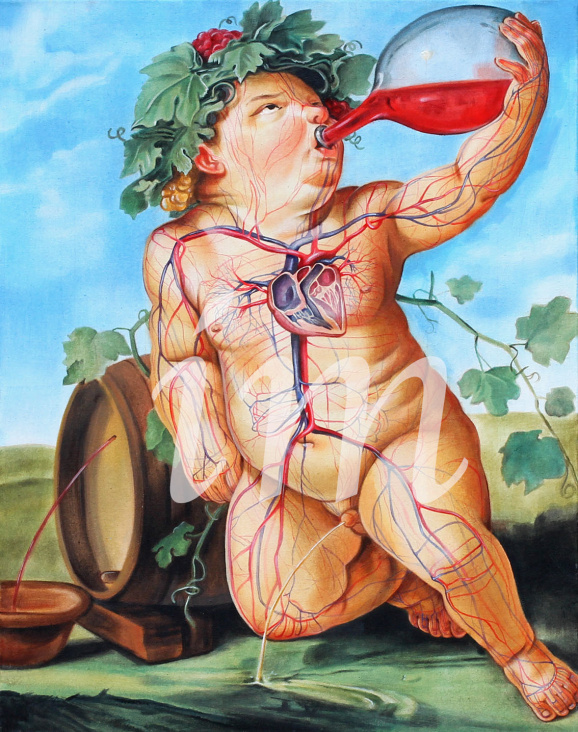 Drinking Bacchus (Guido Reni), Entdeckung des Blutkreislaufs durch William Harvey