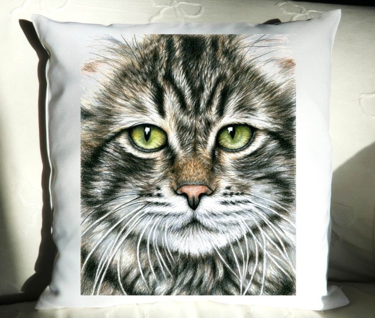 Kissen 40×40 cm „Cats Face“