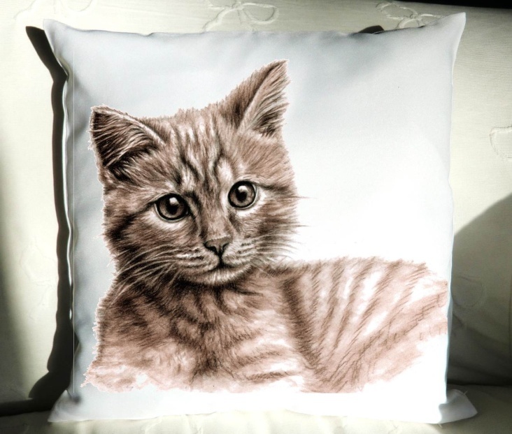 Kissen 40×40 cm „Kätzchen“