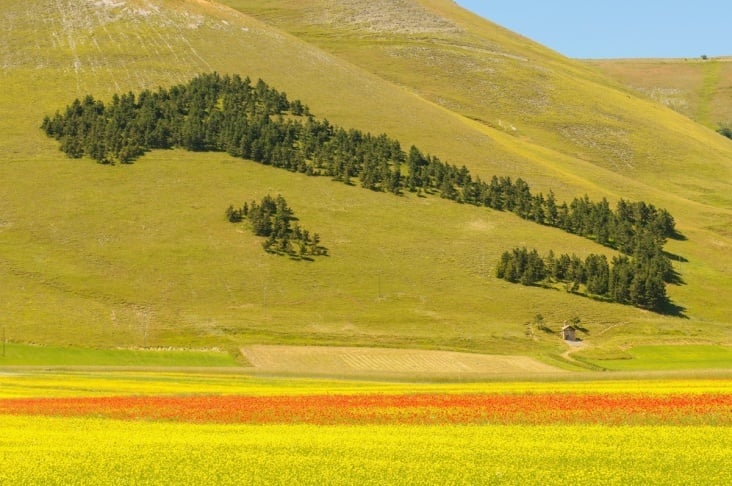 Castelluccio di Norcia