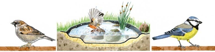 Vogelbad für „Mein Schöner Garten“ _ Sozietät für Kommunikation