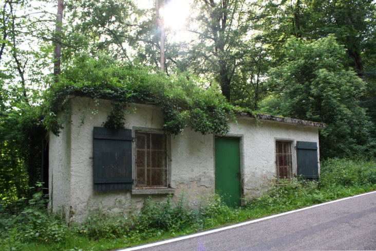 Haus im Wald