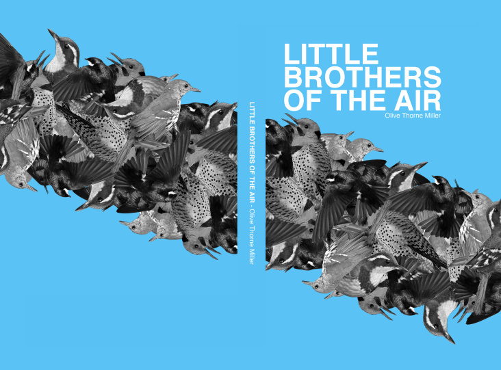 Book Cover – Little Brothers of the Air