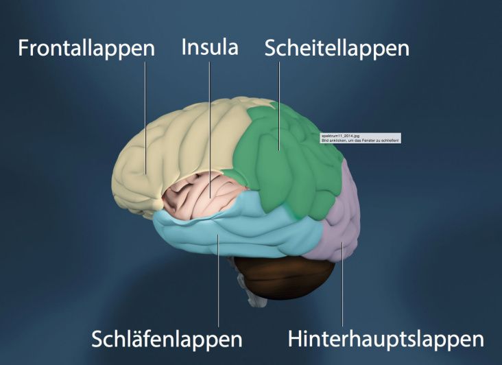 Grafik für „Spektrum der Wissenschaft“, 2014