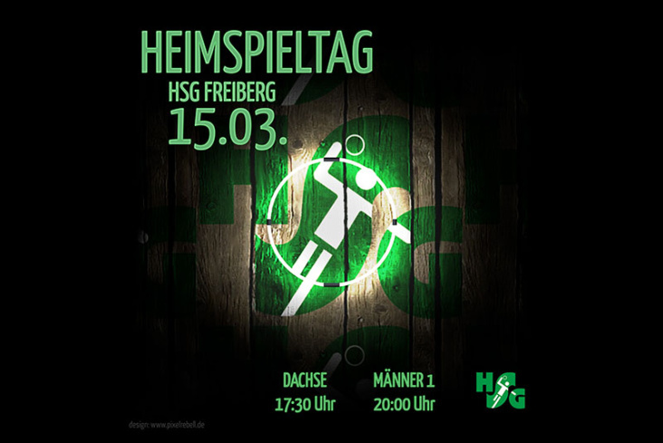 HSG Freiberg – Die Dachse