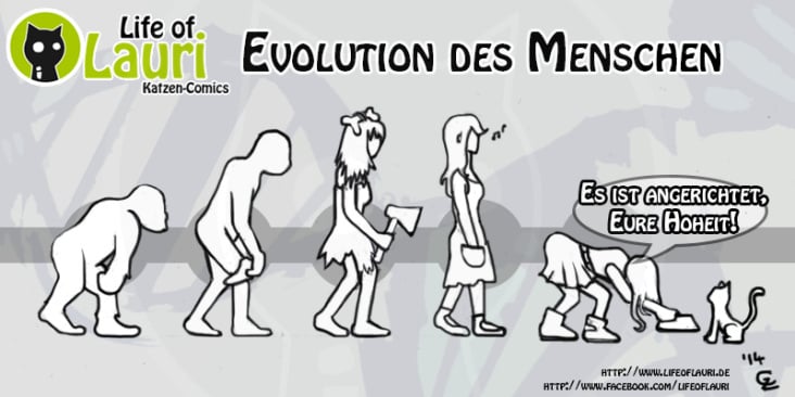 Evolution des Menschen