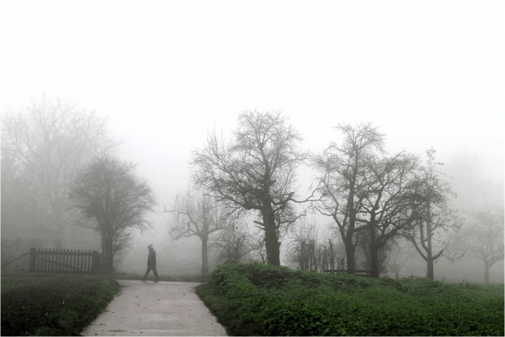 Morgennebel am Neckar