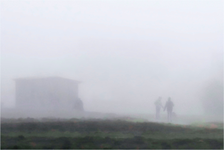 Begegnung im Nebel 2