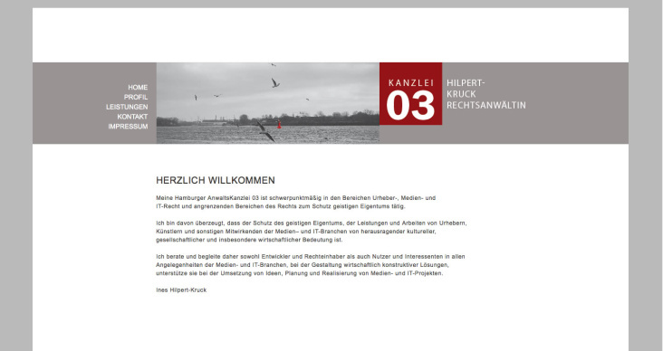Homepage der Kanzlei 03