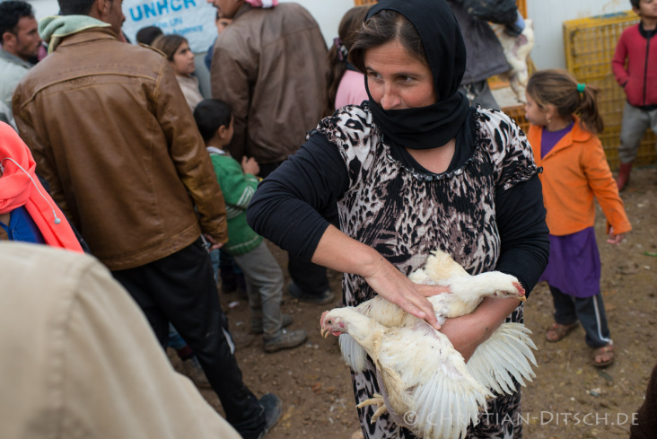 Syrien / Rojava – Jeziden-Flüchtlingslager