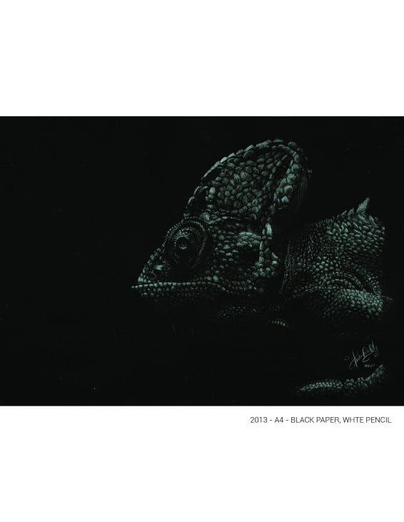 Portrait of a Chameleon- Black paper A4 / White color pencil