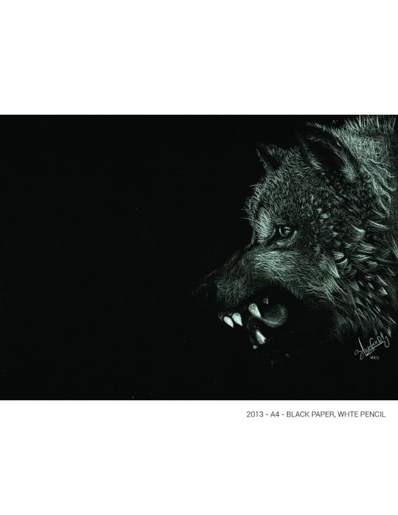 Portrait of a Wolf- Black paper A4 / White color pencil