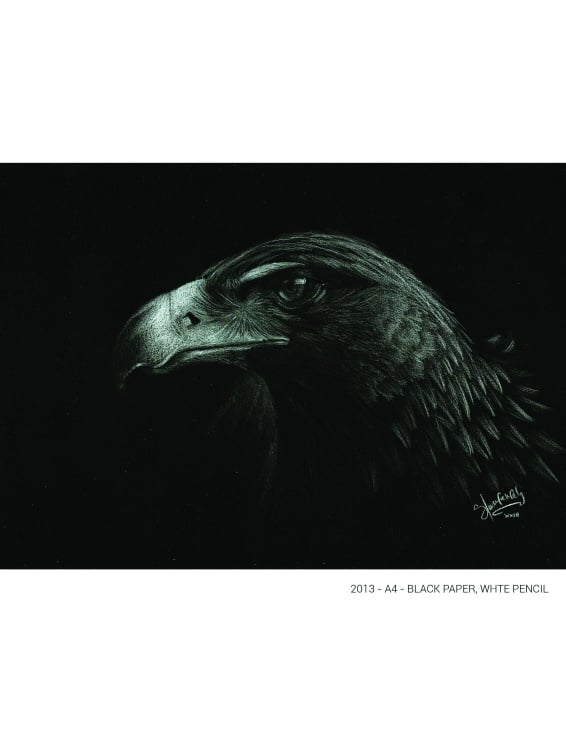 Portrait of an Eagle – Black paper A4 / White color pencil