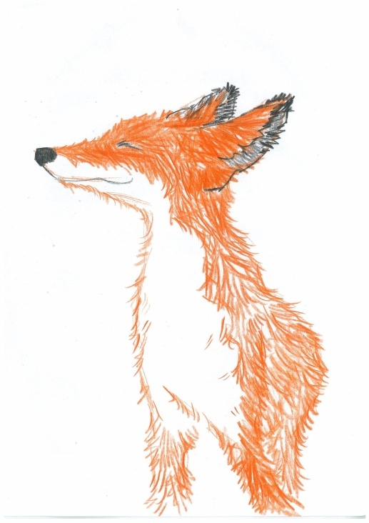 Fuchs