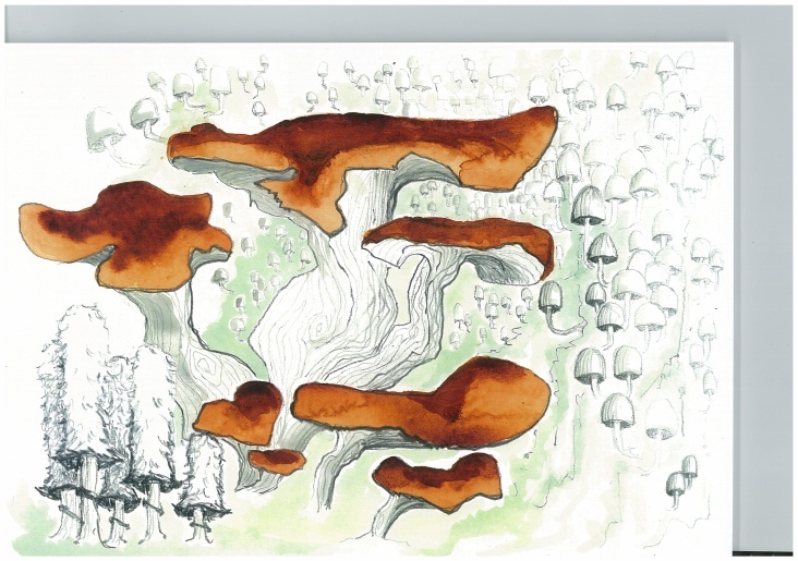 Pilz-Landschaft