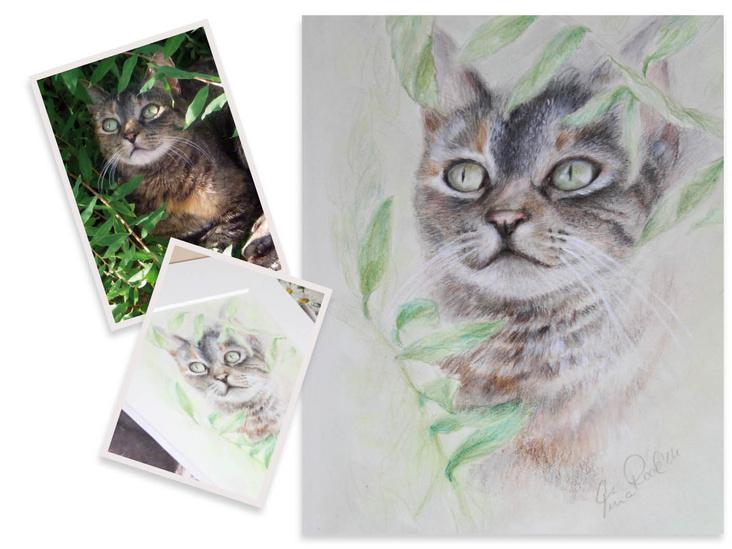 Portraitart°Katzenblick°