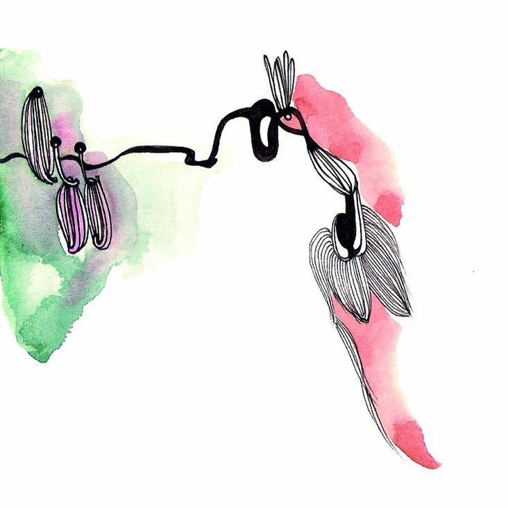 Illustration