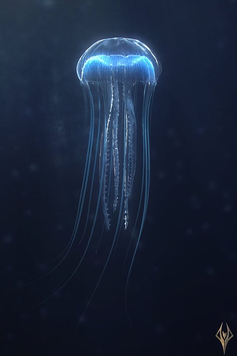 Jellyfish | TiefenWerft