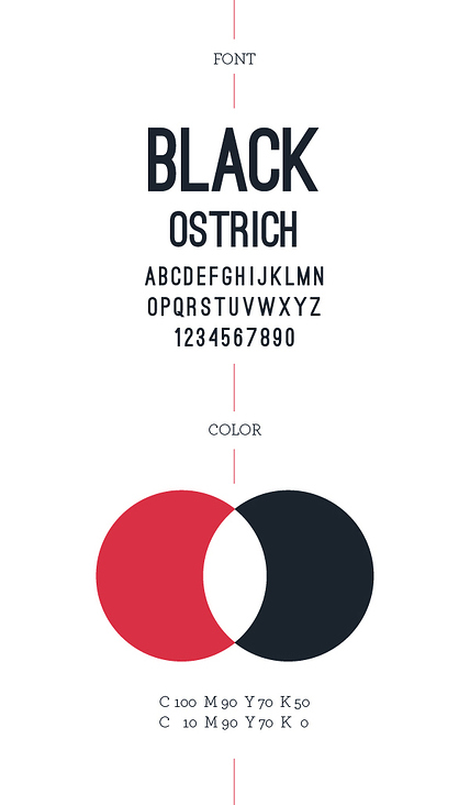 Corporate Font and Color