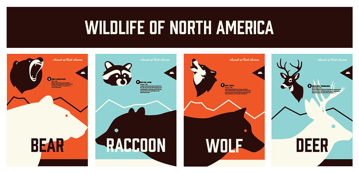 Wildlife of North America