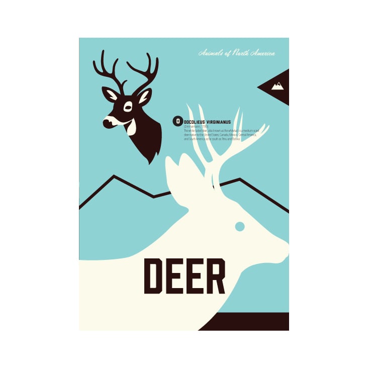 Deer