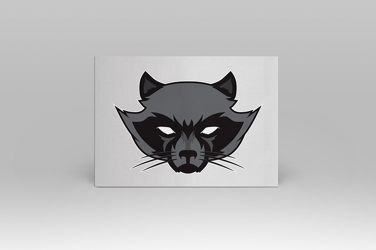 Logo Raccoons