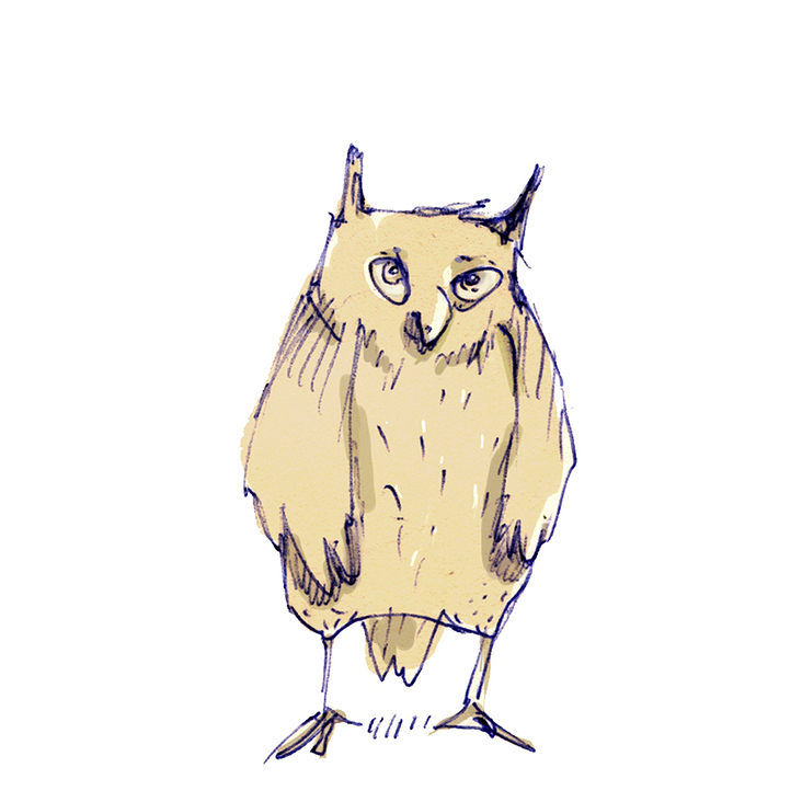 owl guy
