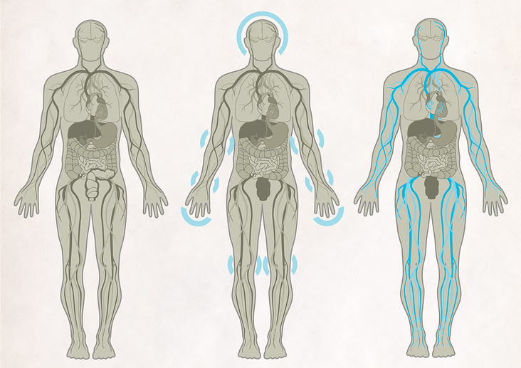 Fastencoach Illustrationen Organsysteme & Krankheitsbilder