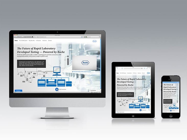 Roche Flow Responsive Website