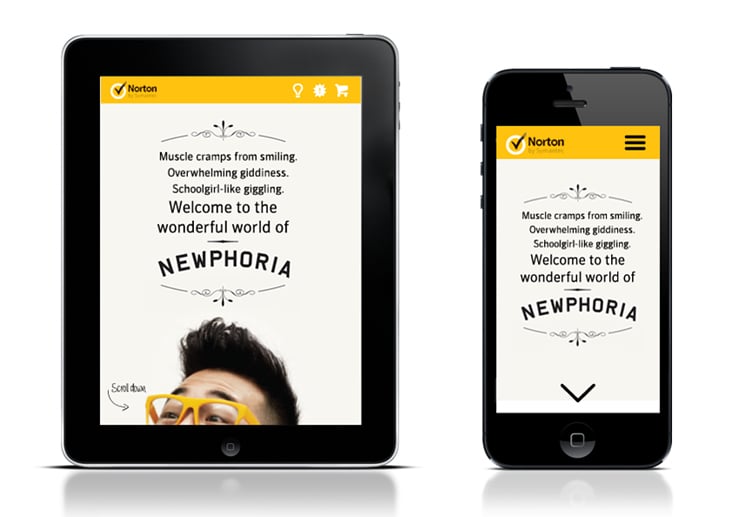 Norton Newphoria Responsive Website Concept