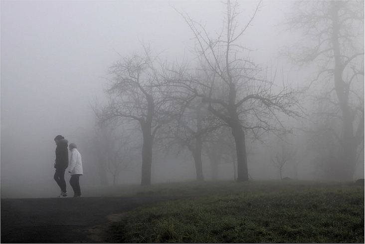 Spaziergang im Nebel