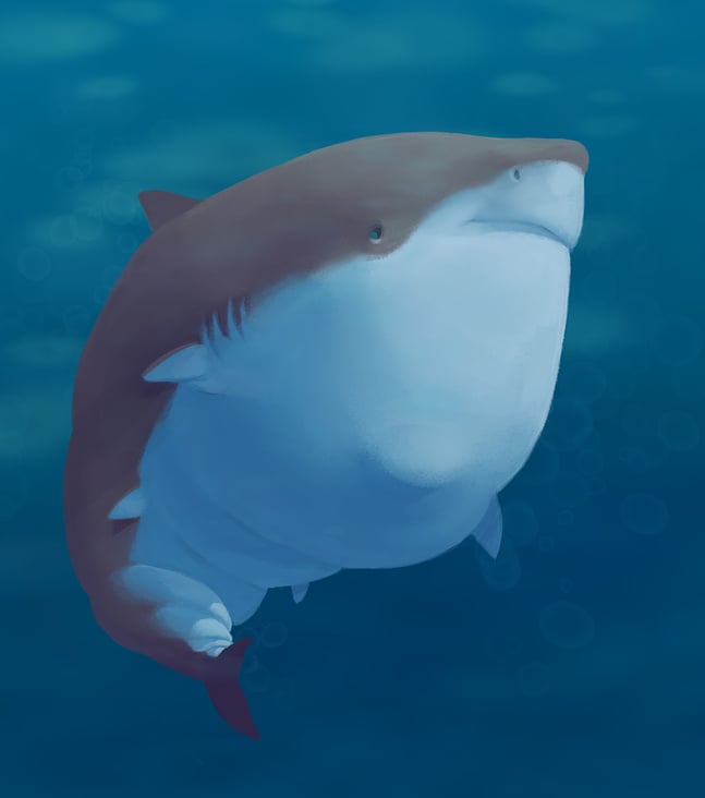 Fat Shark Ed