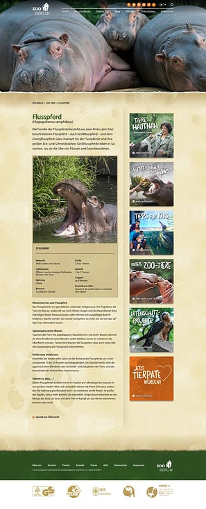 Screenshot – Textbeispiel Tierporträt Flusspferd Zoo Berlin