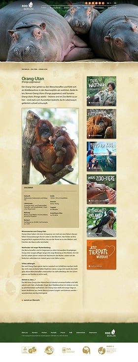 Screenshot – Textbeispiel Tierporträt Orang-Utan Zoo Berlin