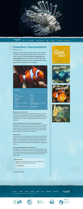 Screenshot – Textbeispiel Tierporträt Anemonenfisch Aquarium Berlin