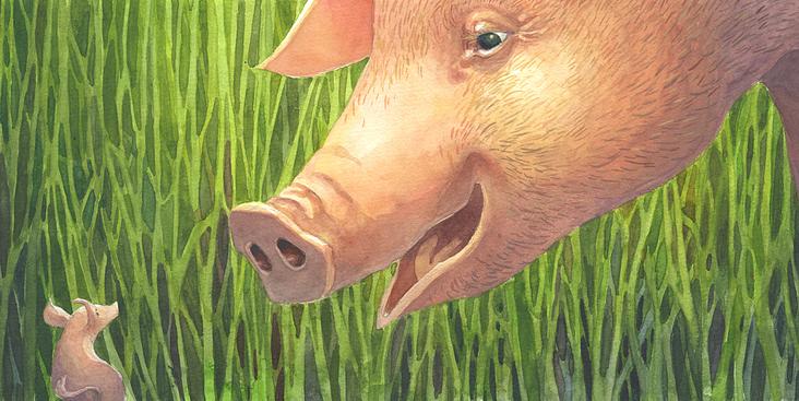 Illustration zu „Das Kleine Schweinchen“