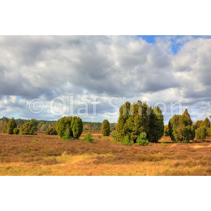 Stockfotografie