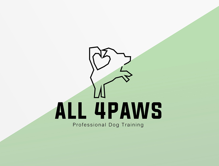 All 4Paws Logo