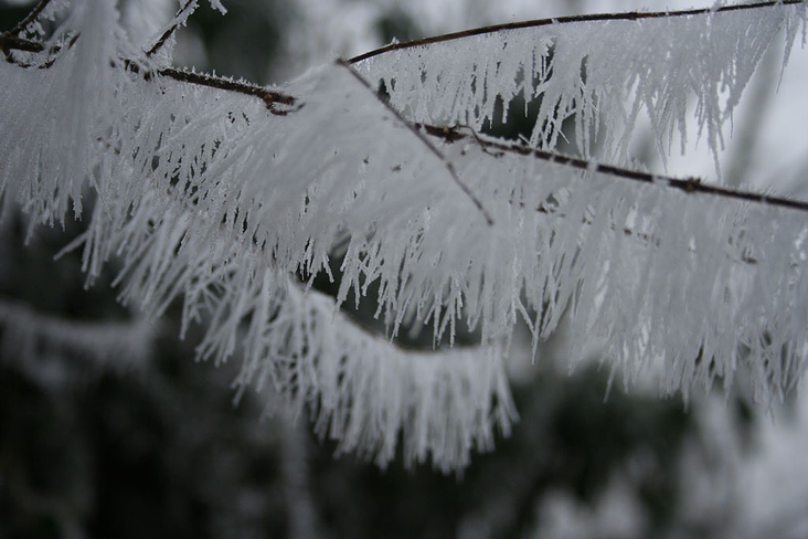 Winter auf dem Dilsberg