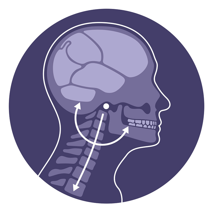 Illustration als Visualisierung zur Wirkung zwischen Kiefer, Gehirn und Wirbelsäule