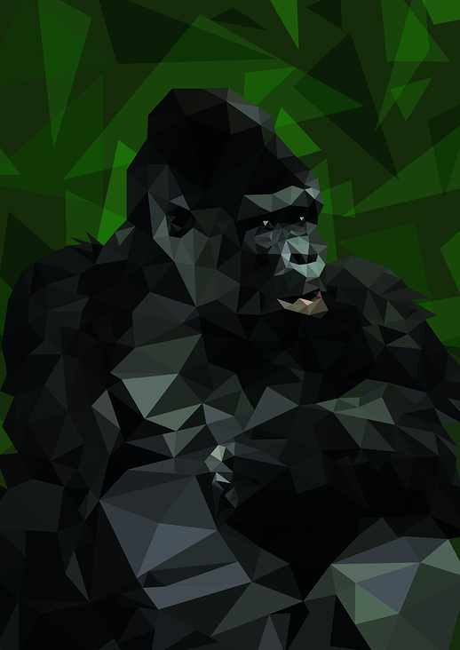 PolyGorilla