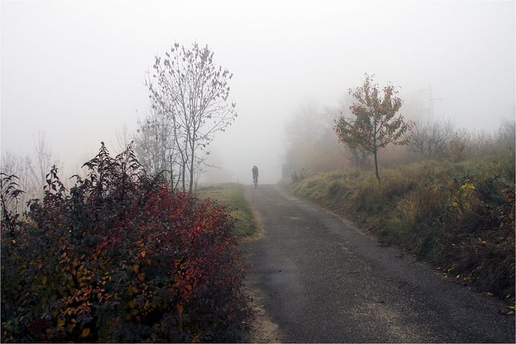 Radfahrer im Morgennebel