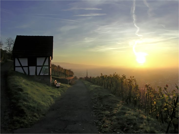 Neckarhaldenweg am Morgen