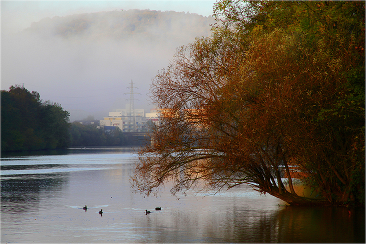 mogens unten am Neckar