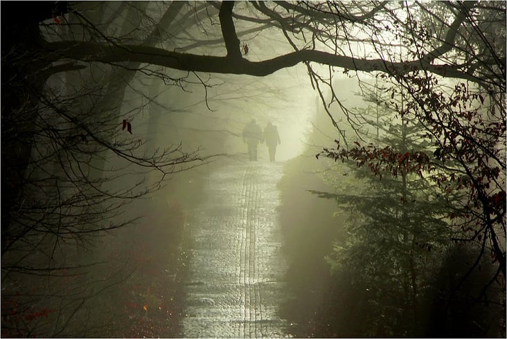 Spaziergang im Morgennebel