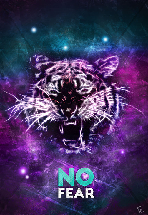 No Fear – 2015